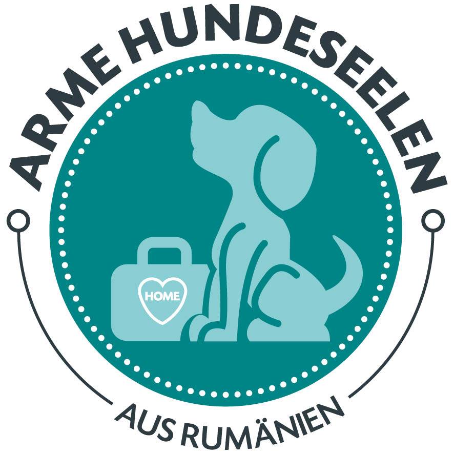 AHS Logo web