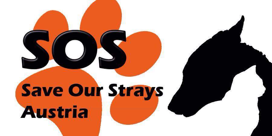Save our Strays